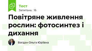 Повітряне живлення рослин: фотосинтез і дихання