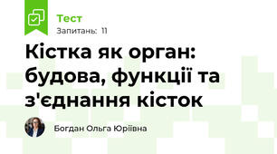 Кістка як орган: будова, функції та з'єднання кісток