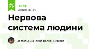 Нервова система людини