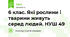 6 клас. Які рослини і тварини живуть серед людей. НУШ 49