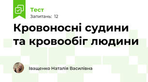 Кровоносні судини та кровообіг людини