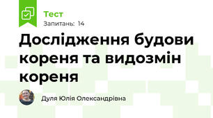 Дослідження будови кореня та видозмін кореня