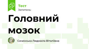 Головний мозок