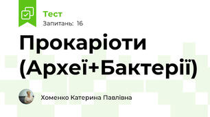 Прокаріоти (Археї+Бактерії)
