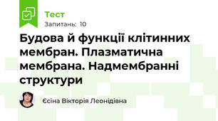 Будова й функції клітинних мембран. Плазматична мембрана. Надмембранні структури