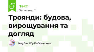 Троянди: будова, вирощування та догляд