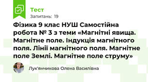 Фізика 9 клас НУШ Самостійна робота № 3 з теми «Магнітні явища. Магнітне поле. Індукція магнітного поля. Лінії магнітного поля. Магнітне поле Землі. Магнітне поле струму»