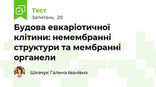 Будова евкаріотичної клітини: немембранні структури та мембранні (одномембранні) органели