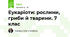 Діагностична робота "Еукаріоти: рослини, гриби й тварини". 7 клас