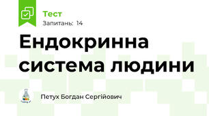 Ендокринна система людини 