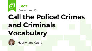 Call the Police! Crimes and Criminals Vocabulary