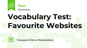 Vocabulary Test: Favourite Websites