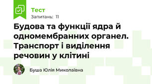 Будова та функції ядра й одномембранних органел. Транспорт і виділення речовин у клітині