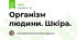 Організм людини. Шкіра.