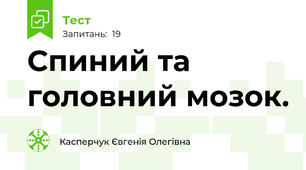  Спиний та головний мозок.