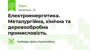 Електроенергетика. Металургійна, хімічна та деревообробна промисловість.