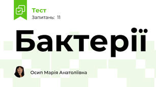 Бактерії 