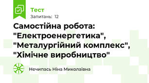 Самостійна робота: "Електроенергетика", "Металургійний комплекс", "Хімічне виробництво"
