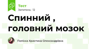 Спинний , головний мозок