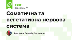 Соматична та вегетативна нервова система