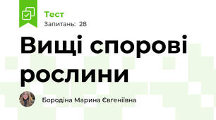 Вищі спорові рослини