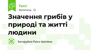 Значення грибів у природі та житті людини