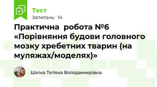 Практична  робота №6 «Порівняння будови головного мозку хребетних тварин (на муляжах/моделях)»