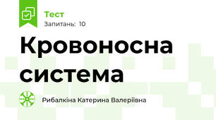 Кровоносна система
