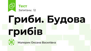 Гриби. Будова грибів
