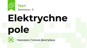 Elektrychne pole