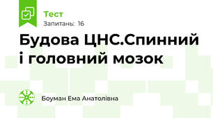 Будова ЦНС.Спинний і головний мозок