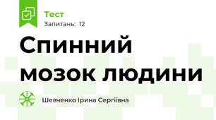  Спинний мозок людини