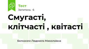 Смугасті, клітчасті , квітасті