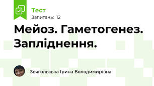 Мейоз. Гаметогенез. Запліднення.