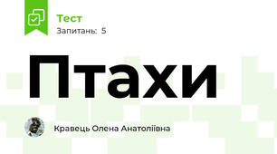 Птахи
