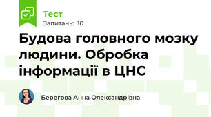 Будова головного мозку людини. Обробка інформації в ЦНС