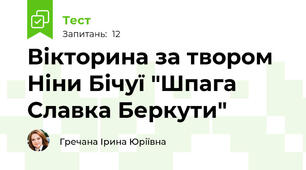 Вікторина за твором Ніни Бічуї "Шпага Славка Беркути"