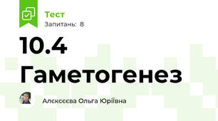 10.4 Гаметогенез