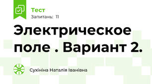 Электрическое поле . Вариант 2.