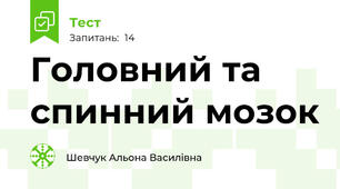 Головний та спинний мозок