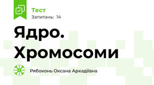 Ядро. Хромосоми