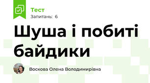 Шуша і побиті байдики