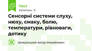 Сенсорні системи слуху, нюху, смаку, болю, температури, рівноваги, дотику