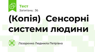 (Копія)  Сенсорні системи людини