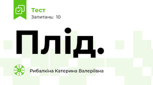 Плід.