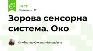 Зорова сенсорна система. Око