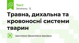 Травна, дихальна та кровоносні системи тварин