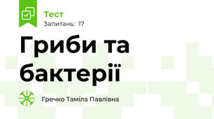 Гриби та бактерії