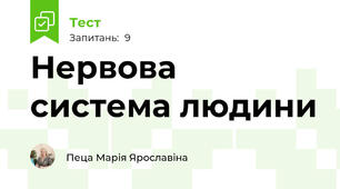Нервова система людини