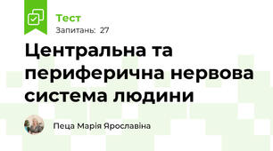  Центральна та периферична нервова система людини